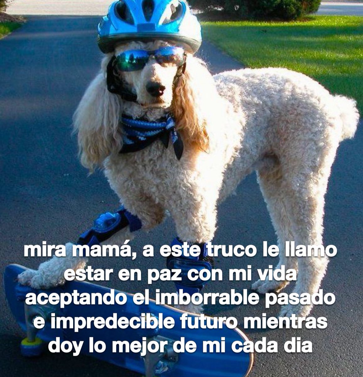 conoloracigarro's tweet photo. https://t.co/fXcpgQ4Xbf