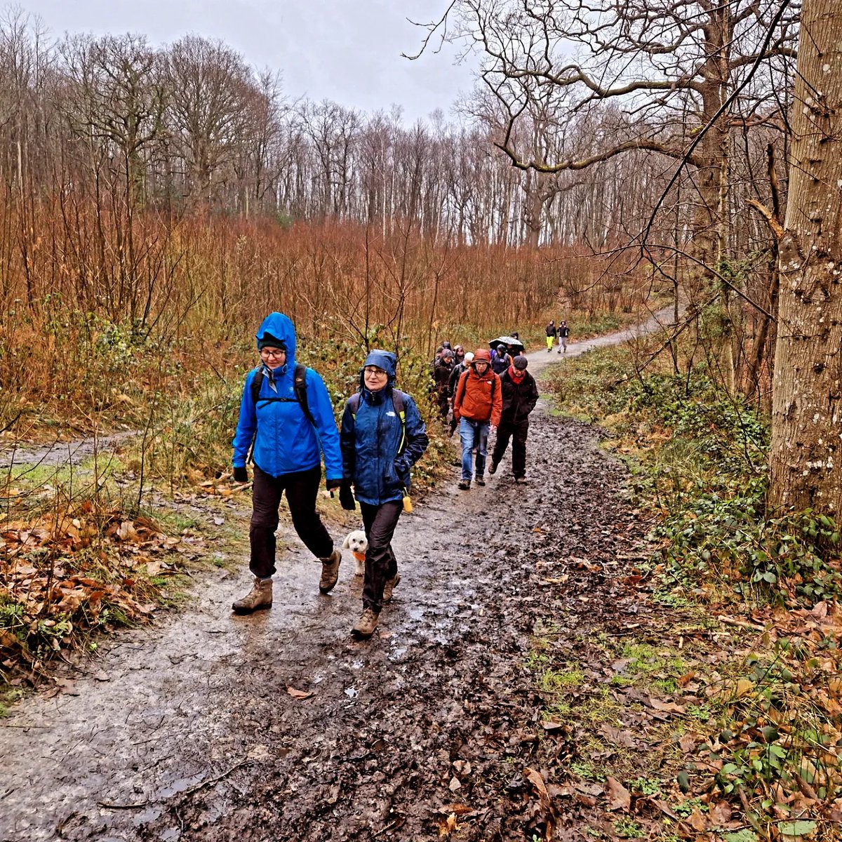 BootsOnAdventu1's tweet photo. Another great walk today with great company as we walled around the countryside that surrounds Perry Wood in Selling. The rain held off for most of the walk, and everyone was in great spirits.
๐ท๐ท๐ท๐ท๐ท๐ท๐ท๐ท๐ท
#perrywoods #selling #kentwalks #hikingkent #kentwalkinggroup https://t.co/ECMPScDOlS