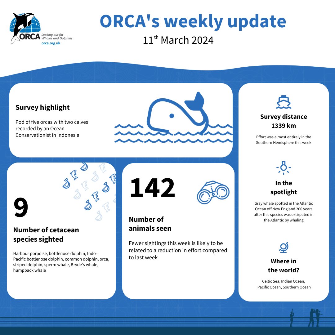 Here is our weekly snapshot summary of where ORCA has been and (most importantly) what we have seen.... orca.org.uk