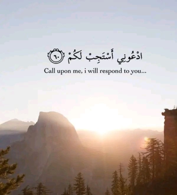 talhaa_khalid's tweet photo. https://t.co/bI9HQMkhAF
