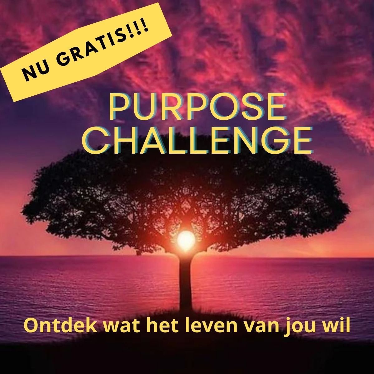 Decide2develop's tweet image. 🌟 ᴅᴏᴇ ᴍᴇᴇ ᴀᴀɴ ᴅᴇ ᴘᴜʀᴘᴏꜱᴇ ᴄʜᴀʟʟᴇɴɢᴇ ᴇɴ ᴏɴᴛᴅᴇᴋ ᴊᴏᴜᴡ ʟᴇᴠᴇɴꜱᴍɪꜱꜱɪᴇ! 🌟

Ben je op zoek naar meer voldoening en betekenis in je leven en carrière? Wil je ontdekken wat jou echt drijft en inspireert? pionierendleiderschap.nl/purpose-challe…