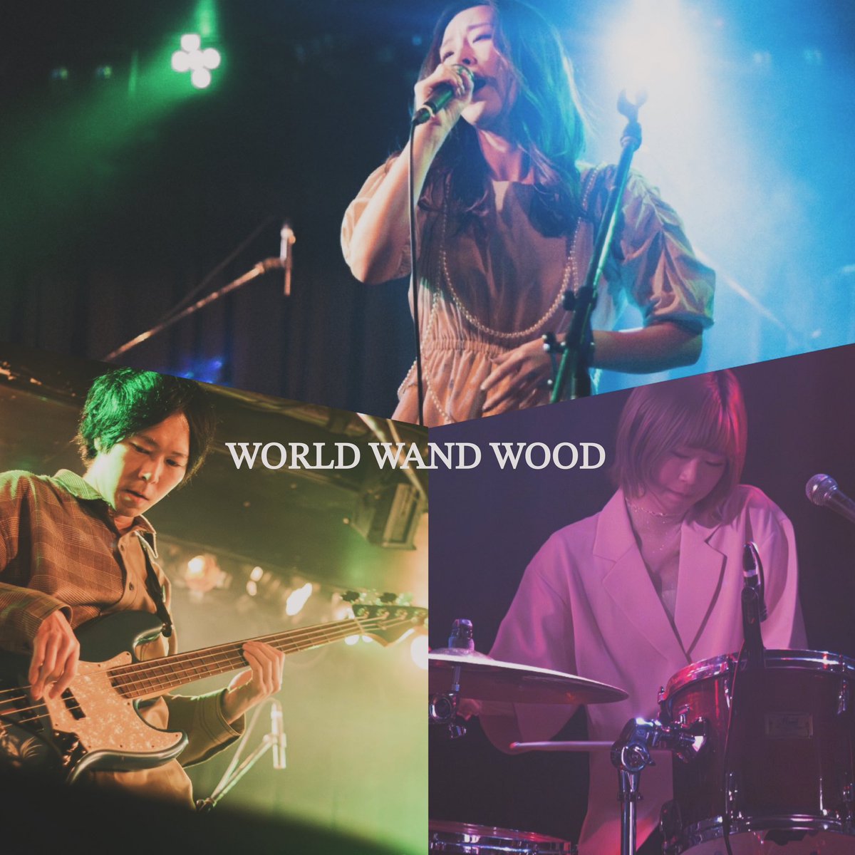 WORLD WAND WOOD tweet media