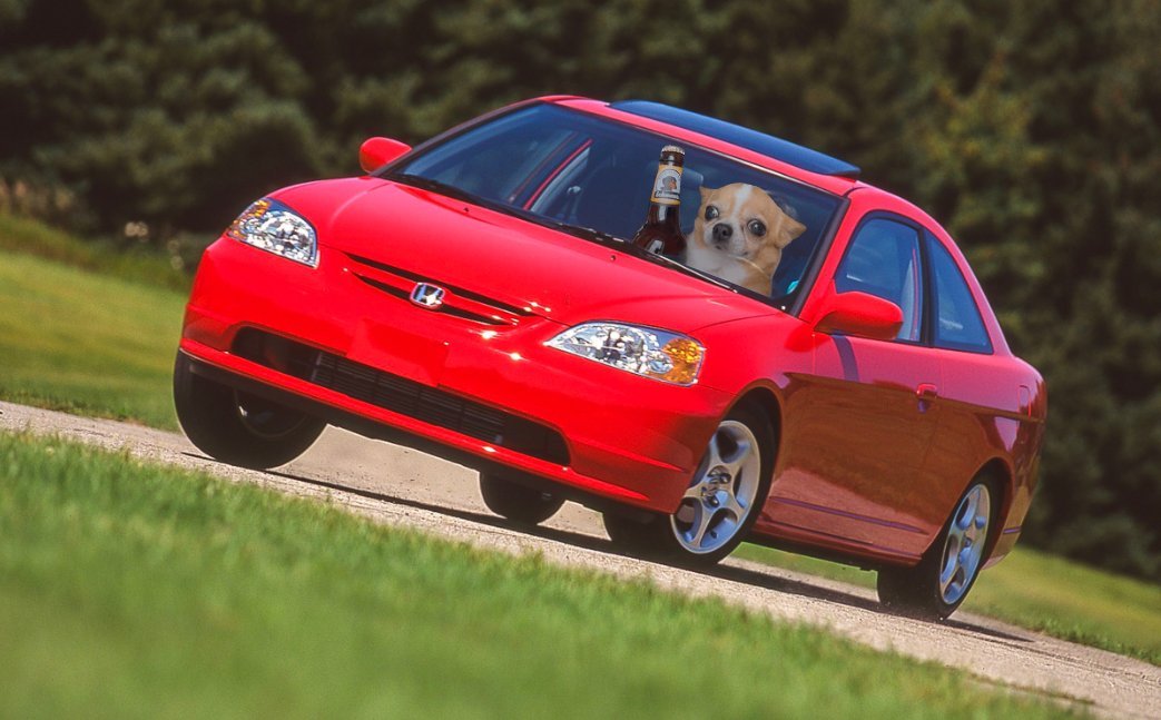 Beer Dog tweet media