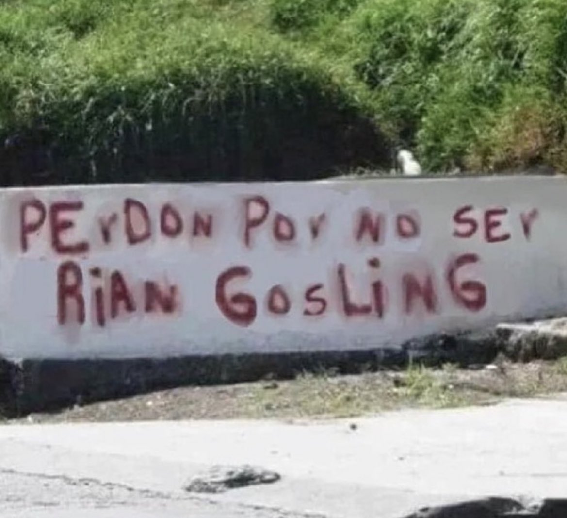 cojonudo (@perromandarinas) on Twitter photo 