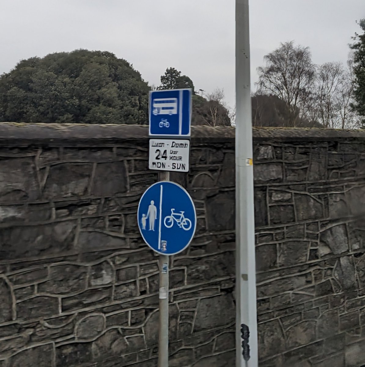 Feljin Jose tweet media