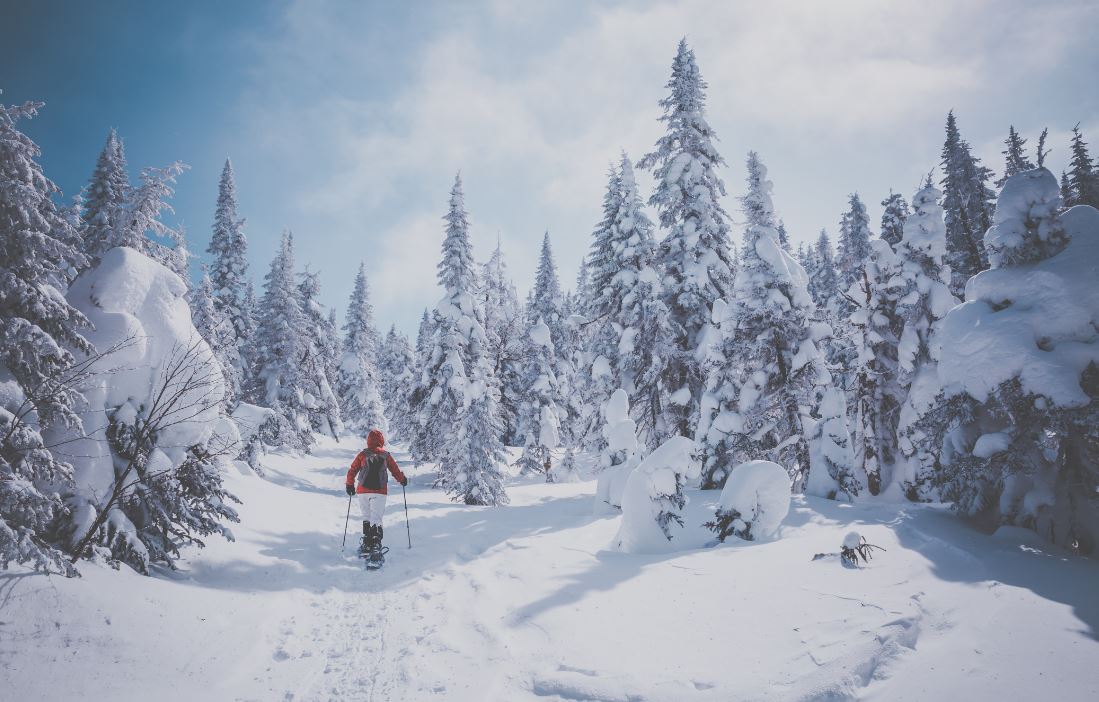 IEC_EIC's tweet photo. Curious about winter ❄️ in Canada?   

With International Experience Canada, you can apply for a permit or visa and have the chance to explore exciting job opportunities in the Canadian ski industry: https://t.co/DBKNOZmgJx 

Enjoy breathtaking mountain views ⛰️, endless ski slopes ⛷️and unforgettable adventures.