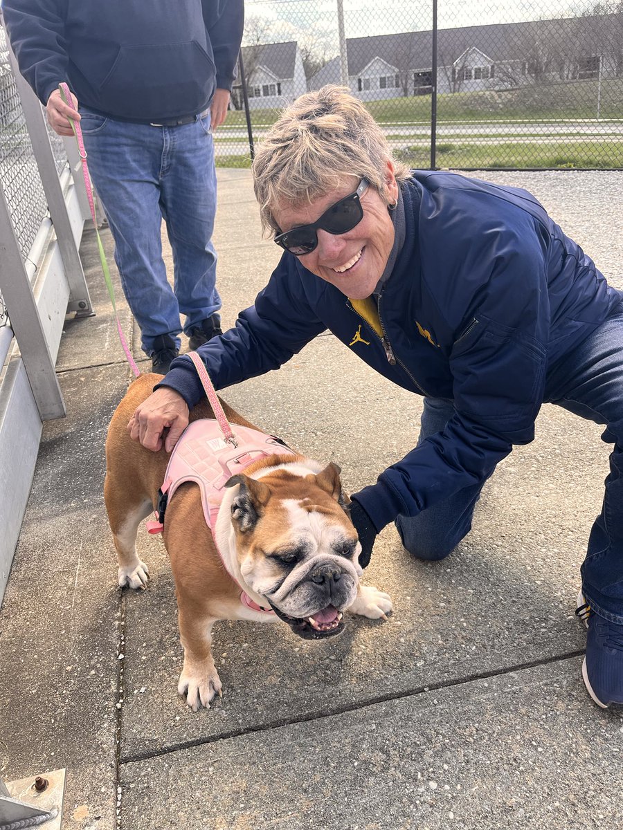 Met Frankie at the ballpark! He is a rescue and rescued his Hooman! Hope to see Frankie at Alumni Field watching ⁦@umichsoftball⁩ soon!