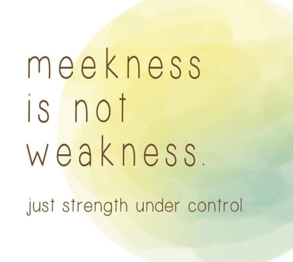 #Meekness #VirtueoftheMonth #MondayMotivation