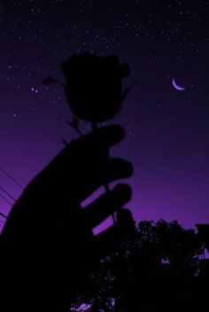 Ali_tweets87's tweet photo. Assalamualaikum 
Chand Mubarak Sbhi ko https://t.co/qi269weEe2