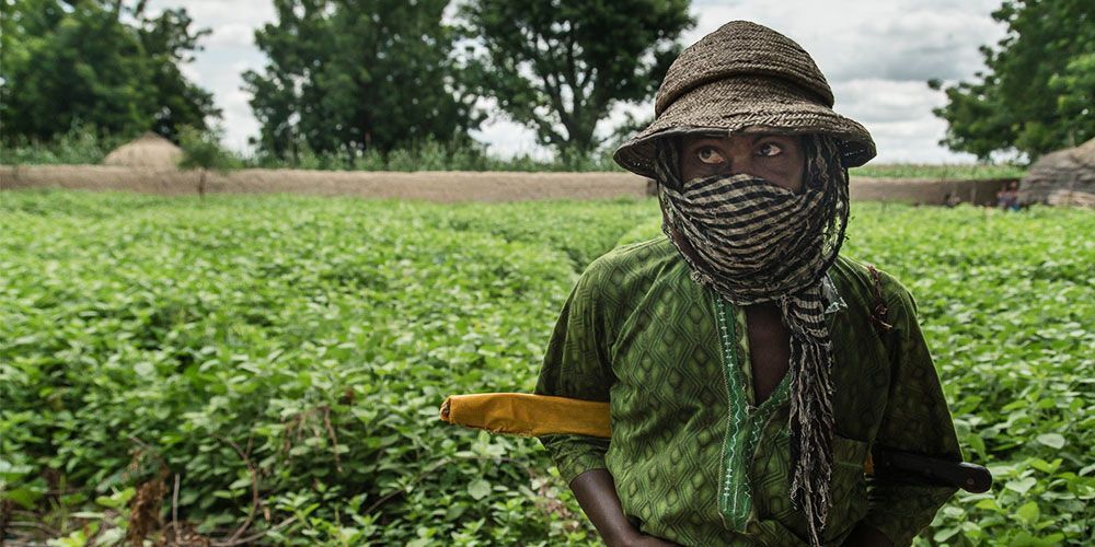 #Noma has all but disappeared in Europe and has largely been forgotten, but in other parts of the world, the disease is still prevalent. It is estimated that more than 140,000 children develop noma every year.

buff.ly/3UYRWTd (image: <a href="/Inediz/">Inediz</a>)