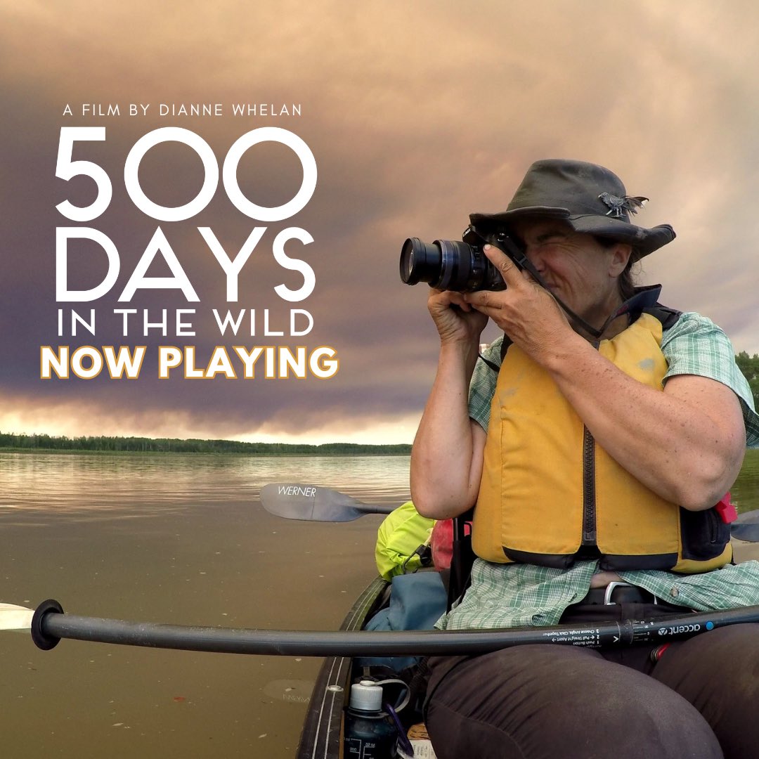 dianne whelan (@diannewhelan) on Twitter photo 500daysinthewild.com/screenings/ Links to
All the screenings and tickets across Canada <a href="/500daysnthewild/">500daysinthewild</a> 500daysinthewild.com/screenings/ Links to
All the screenings and tickets across Canada <a href="/500daysnthewild/">500daysinthewild</a>