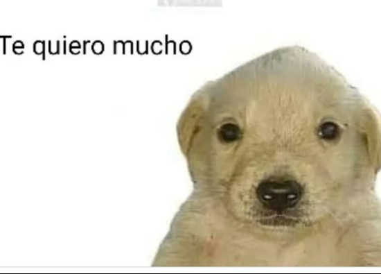 Raion_zyb's tweet photo. @PamRink2000 te quiero mucho pamrink https://t.co/IJHXbSvB6f