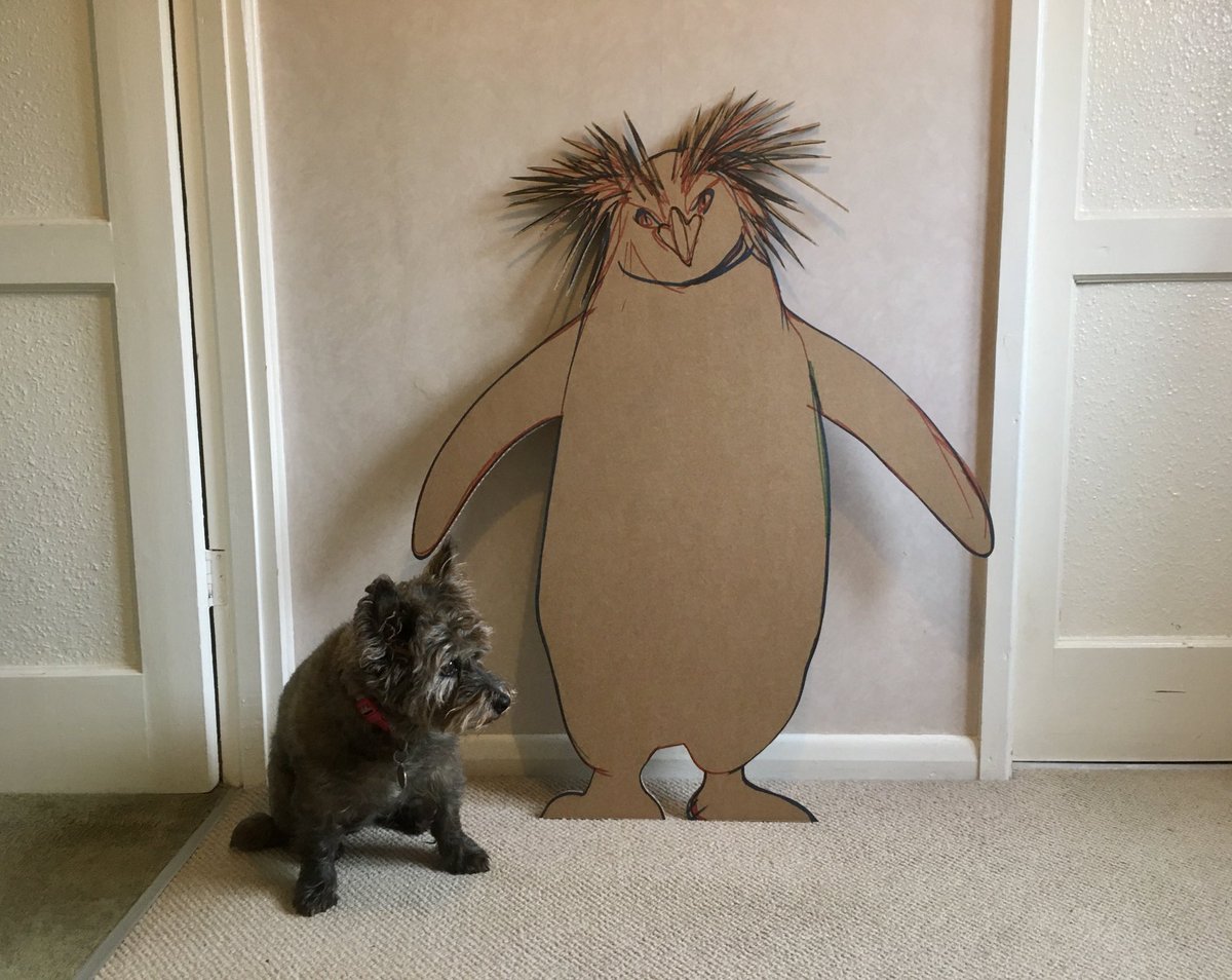 Two little penguins…. #dogsoftwitter #penguins #cardboardart