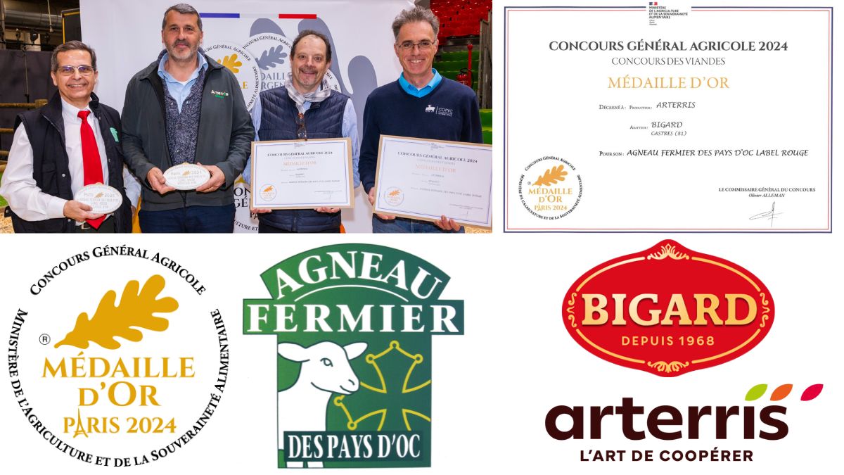 ARTERRIS (@arterris11) on Twitter photo Médaille d'Or décernée à @Arterris11 et #Bigard pour #LabelRouge #AgneauFermierDesPaysDoc au
<a href="/cga_paris/">Concours Général Agricole</a> du #SIA2024 ➡️urlz.fr/pQdB
<a href="/lacoopagricole/">La Coopération Agricole</a> <a href="/la_viande_fr/">la-Viande</a> <a href="/reussirpatre/">Réussir Pâtre</a> <a href="/Interbev_Oc/">Interbev Occitanie</a> <a href="/Inn_Ovin/">Inn'Ovin</a> <a href="/EleveursOvins/">FNO</a> <a href="/VincentLabarthe/">Vincent Labarthe</a> <a href="/Interbev_fr/">Interbev</a> Médaille d'Or décernée à @Arterris11 et #Bigard pour #LabelRouge #AgneauFermierDesPaysDoc au
<a href="/cga_paris/">Concours Général Agricole</a> du #SIA2024 ➡️urlz.fr/pQdB
<a href="/lacoopagricole/">La Coopération Agricole</a> <a href="/la_viande_fr/">la-Viande</a> <a href="/reussirpatre/">Réussir Pâtre</a> <a href="/Interbev_Oc/">Interbev Occitanie</a> <a href="/Inn_Ovin/">Inn'Ovin</a> <a href="/EleveursOvins/">FNO</a> <a href="/VincentLabarthe/">Vincent Labarthe</a> <a href="/Interbev_fr/">Interbev</a>