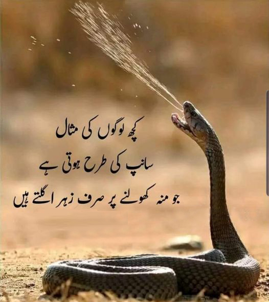 waseem5156's tweet photo. https://t.co/uC6aJW07z9