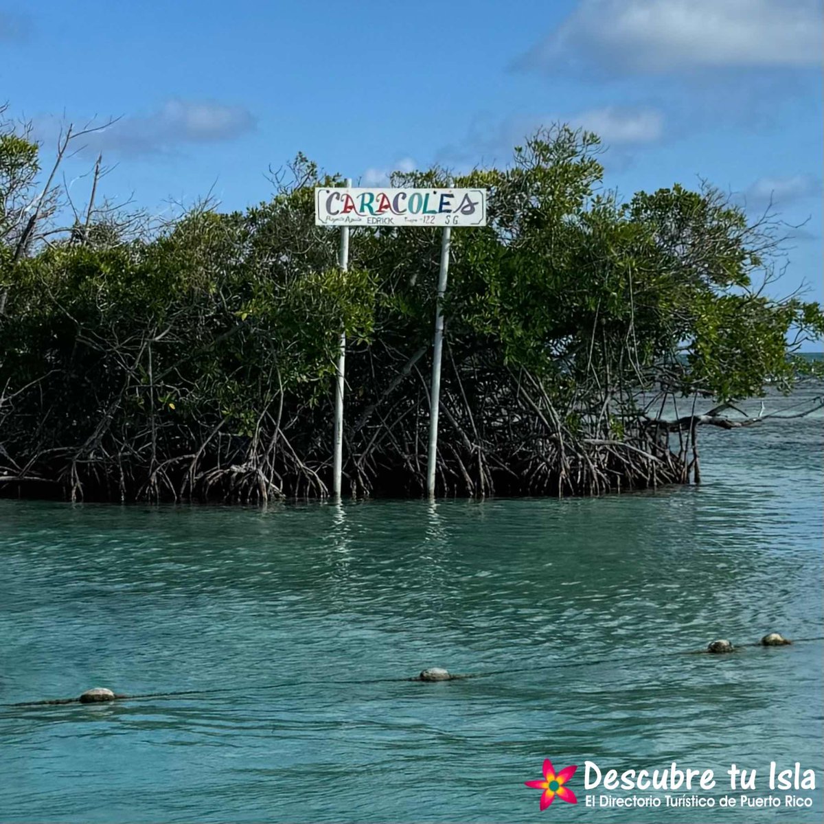 CAYOS, LA PARGUERA, LAJAS ¡Descubre Tu Isla! El Directorio Turístico de Puerto Rico #PuertoRico #DescubreTuIsla #Turismo #Tourist #Vacaciones #Travel #Traveler #RoadTrip #Lajas #LaParguera