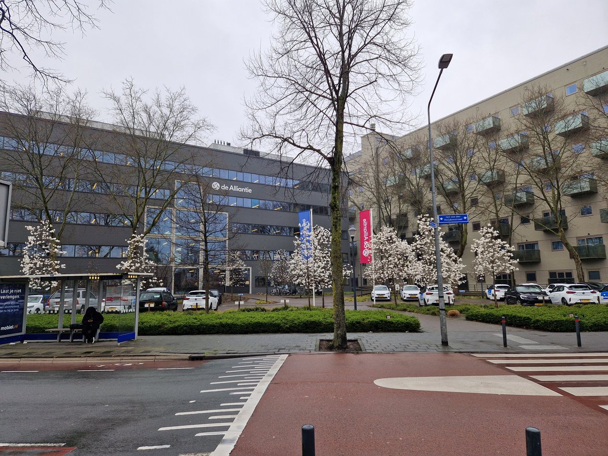 Ed Bakker (@geuzenbuurt) on Twitter photo Voorjaar is in aantocht,de bloesem straalt nu de zon nog. Voorjaar is in aantocht,de bloesem straalt nu de zon nog.