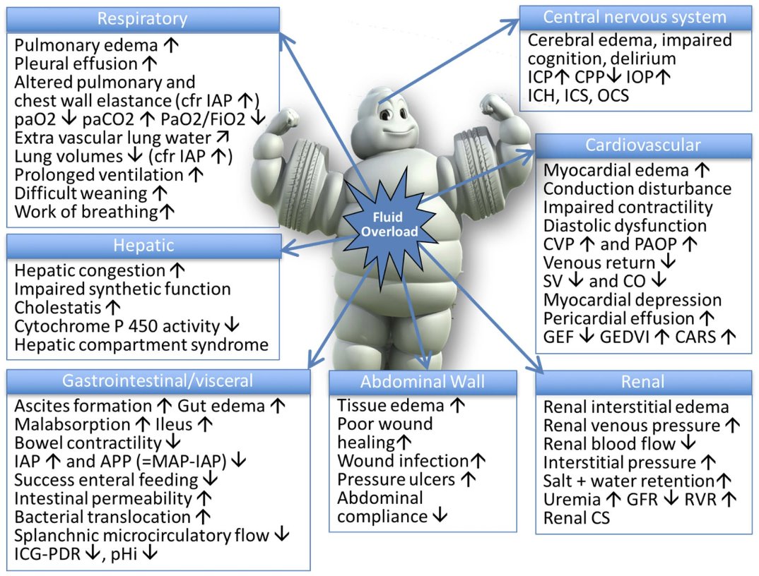 Fluid_Academy's tweet photo. Two IFA papers in top 10 "Principles of fluid management and stewardship in septic shock: it is  time to consider the four D's and the four phases of fluid therapy" was the most downloaded from @of_aic in 2023 ‼️ 1⃣https://t.co/HurT6WTwyS
2⃣https://t.co/mY32ZdEmZw https://t.co/Z0QG3Ehfkw