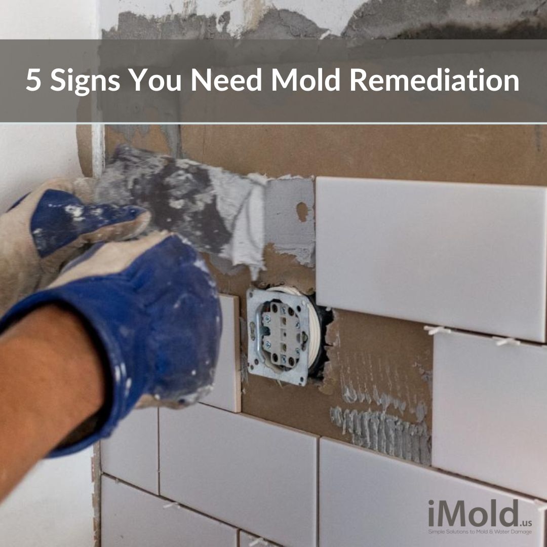 Do you need mold remediation? 

Read our latest blog to know the 5 signs that you need mold remediation: imold.us/do-i-need-mold…

#AllDryServices #MoldInspection #CertifiedInspector #HomeHealth #MoldAwareness #ProtectYourHome
