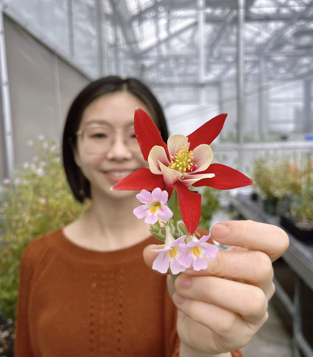 I am thrilled to share that I will join the Plant Biology Department at the University of Illinois Urbana-Champaign as an Assistant Professor inSpring 2025! Super excited to be a member of a very supportive & productive community and establish a strong plant evo-devo group there!