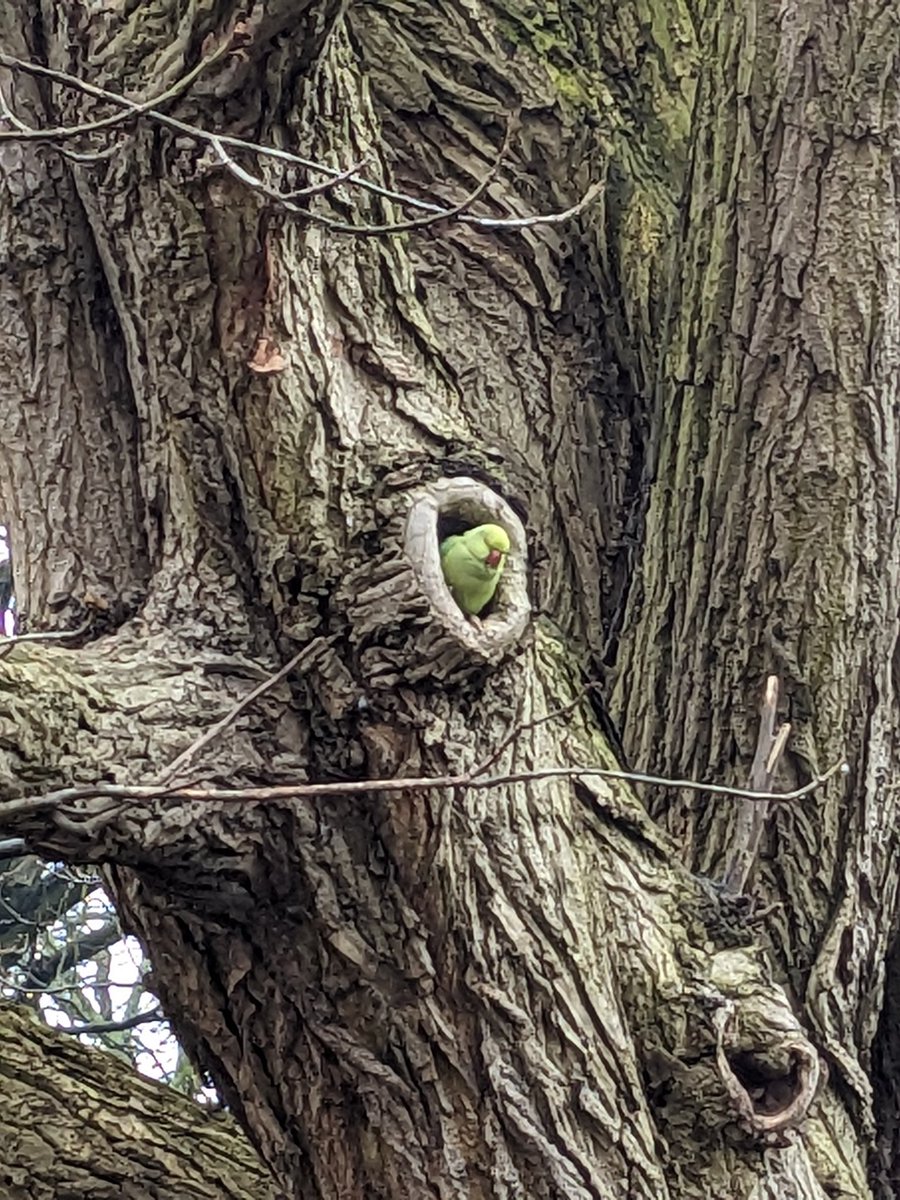 Spring time - afternoon walk