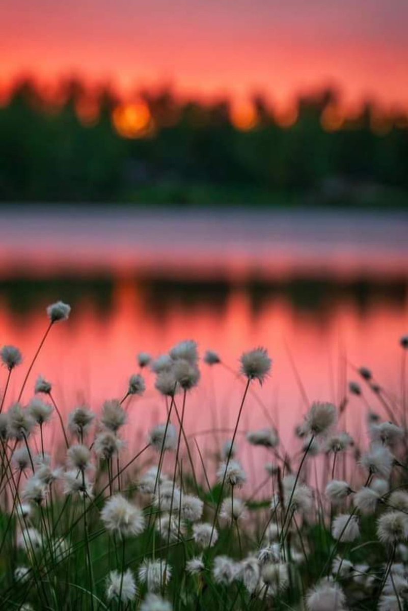 Ramazan güzeldir 🌺🌺🌺🌺🌺🌺🌺🌺🌺