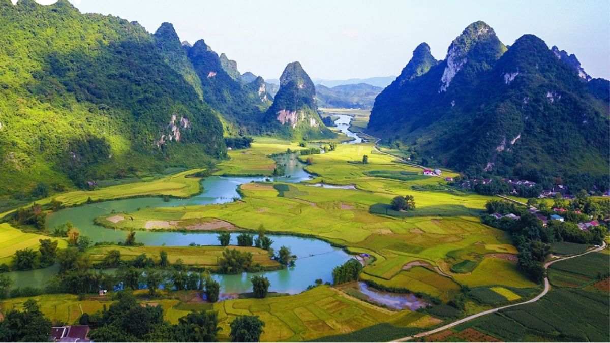 Sven Andersen tweet media