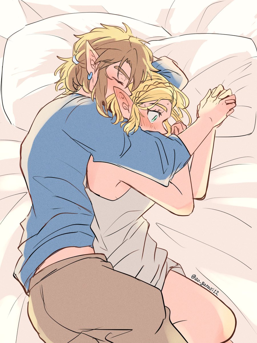 Riley17_A's tweet image. ᙆƶ   #Zelink  #リンゼル