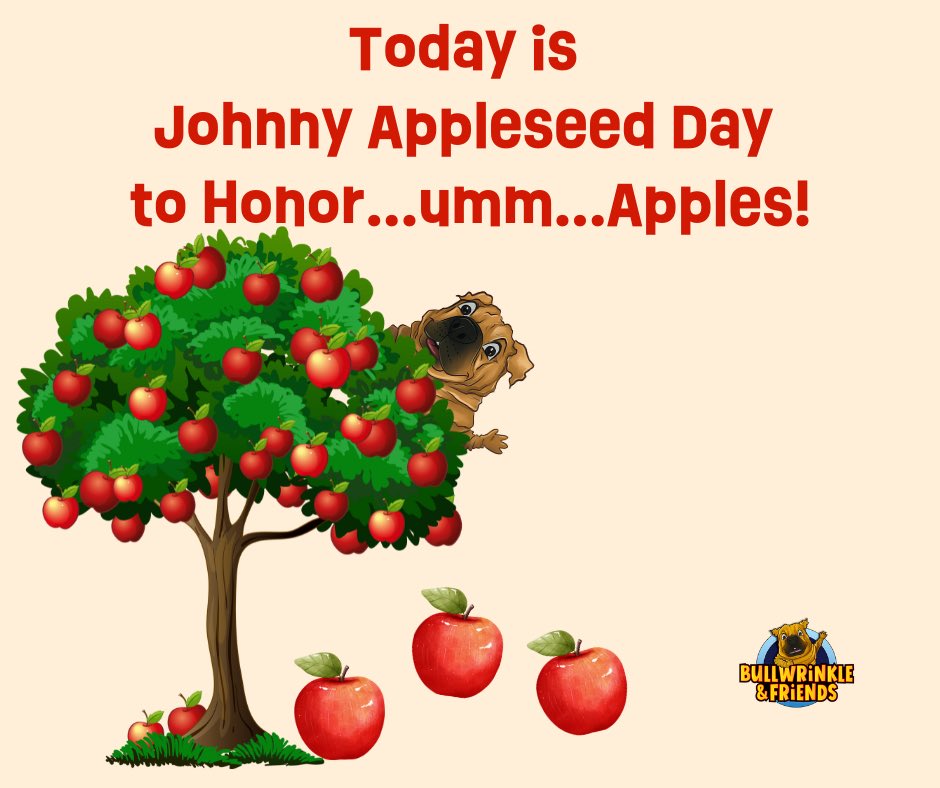 Today we honor #apples on #JohnnyAppleSeedDay! #JohnnyAppleSeed #appletree #applesauce #Bullwrinkle #parents #reading #books #spring 🍎