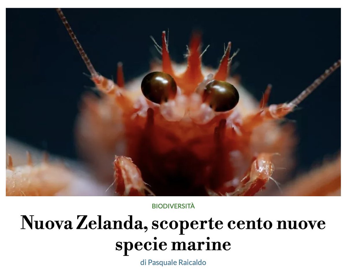 Gli abissi che non smettono di stupire: scoperte 100 nuove specie in Nuova Zelanda. @oceancensus Ne parlo su @greenbluegedi (con un appello di @r_danovaro ) Qui il mio articolo: repubblica.it/green-and-blue…