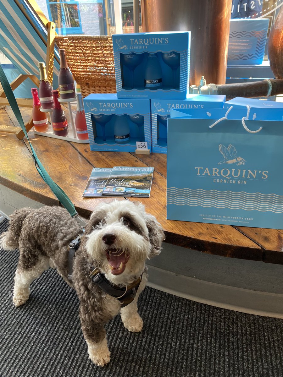 I’m buying mum a wee treat 💙 @tarquinsgin