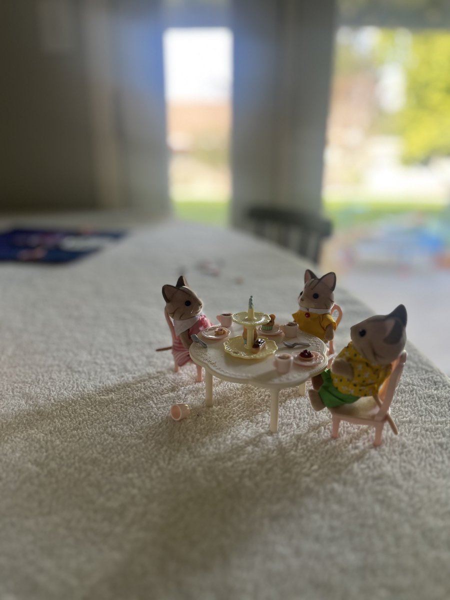 Swarthy_Bastard's tweet image. Life as a widower failed to suit Mr. Gatito. Why, he wondered, had he taken his lost wife to a hipster brewery, under which flap of astroturf had she forever disappeared? #SetOfFour #GirlDadLessons