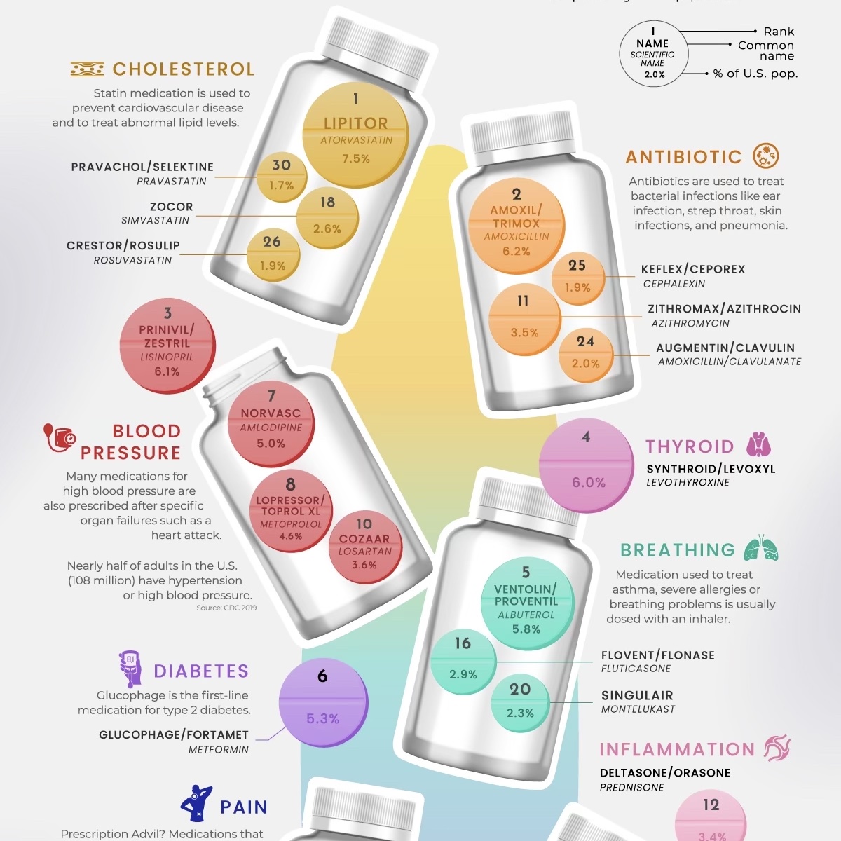 TUSP_SYF's tweet photo. For today's #MedicationMonday, we have a laundry list of the most common medications used in the United States. Swipe to zoom in! Do any of them sound familiar?
#tuspsyf #templepharmacy #scriptyourfuture #medadherence https://t.co/NNuMXErjU0