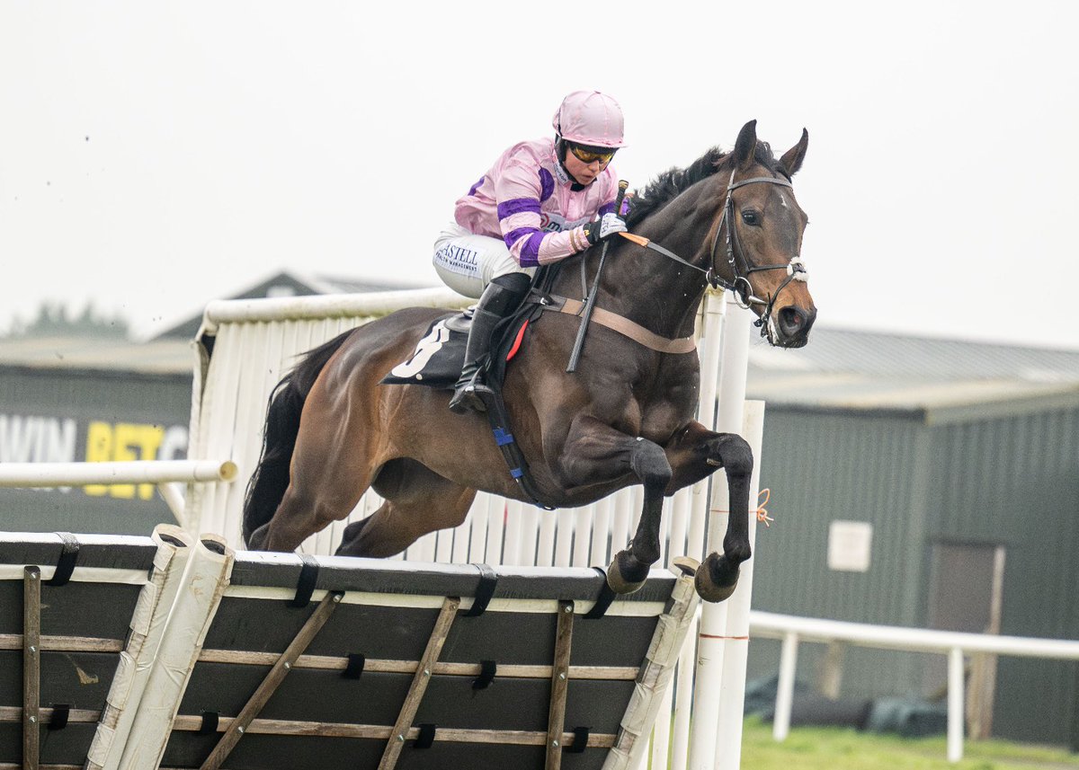 Plumpton Racecourse tweet media