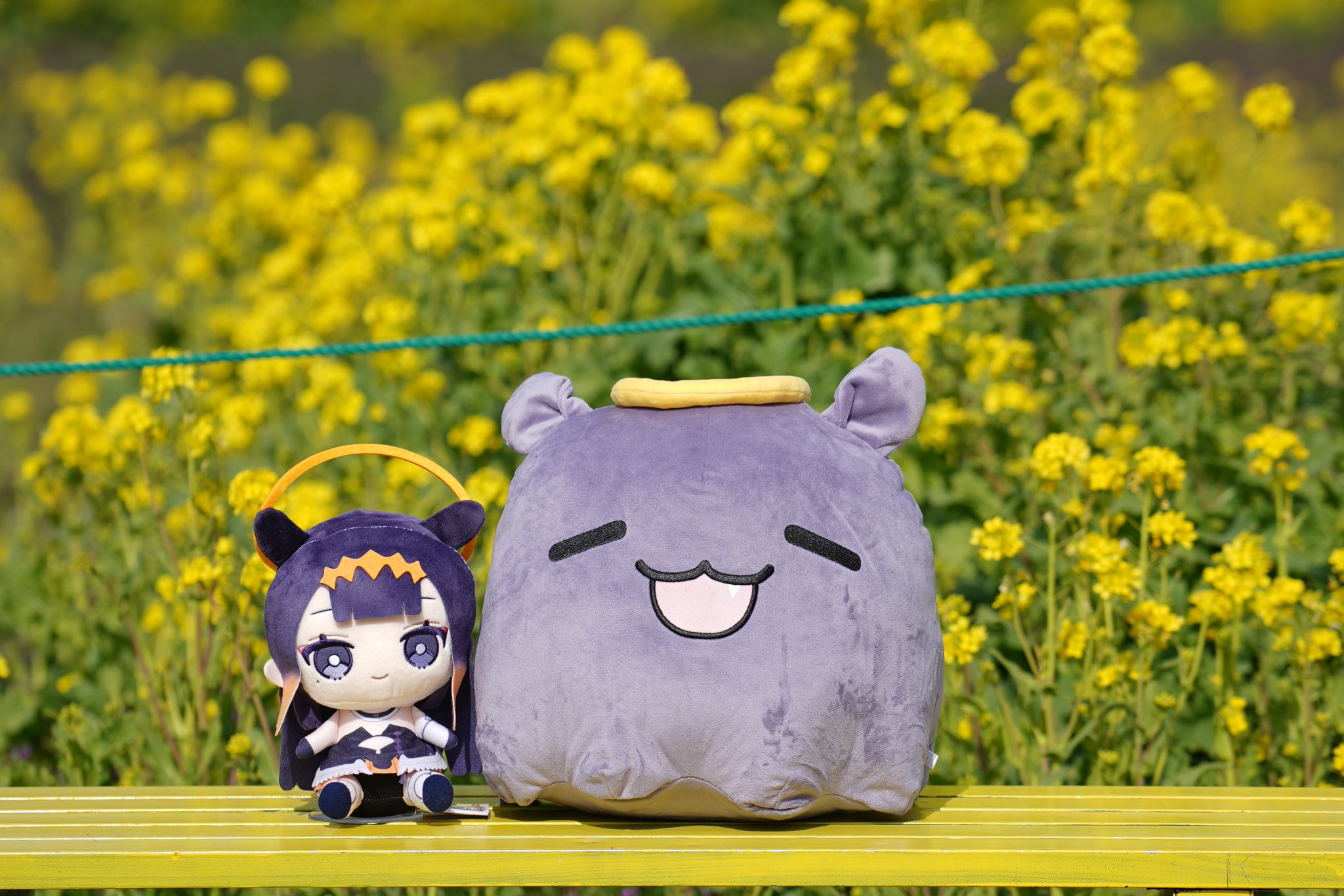 GIZWKiRaMAA3_HG.jpg:large