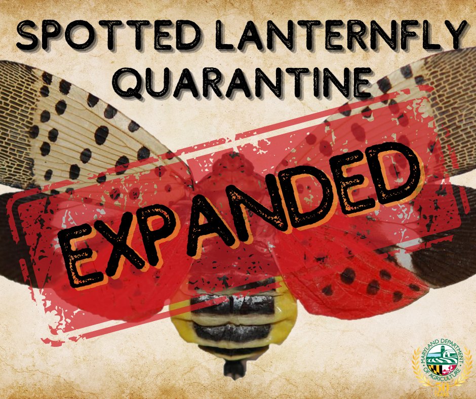 NEWS RELEASE 📰: Maryland Department of Agriculture Further Expands Spotted Lanternfly Quarantine Zone; Additional Counties Now Include Charles and Garrett 

More: bit.ly/3V6qvai