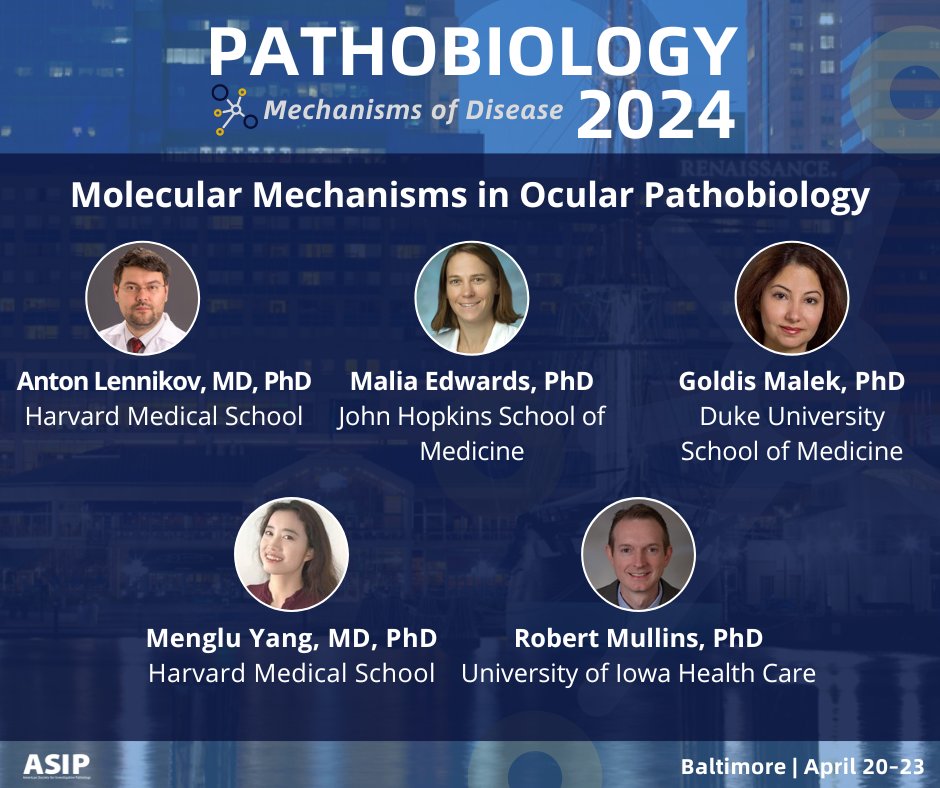 These #OcularPathobiology speakers will provide examples of the basic investigations from the front to the back of the eye. Register for #Pathobiology2024 to attend this session! bit.ly/3TndnfK

@harvardmed @MassEyeAndEar @HopkinsMedicine @DukeMedSchool @uihealthcare