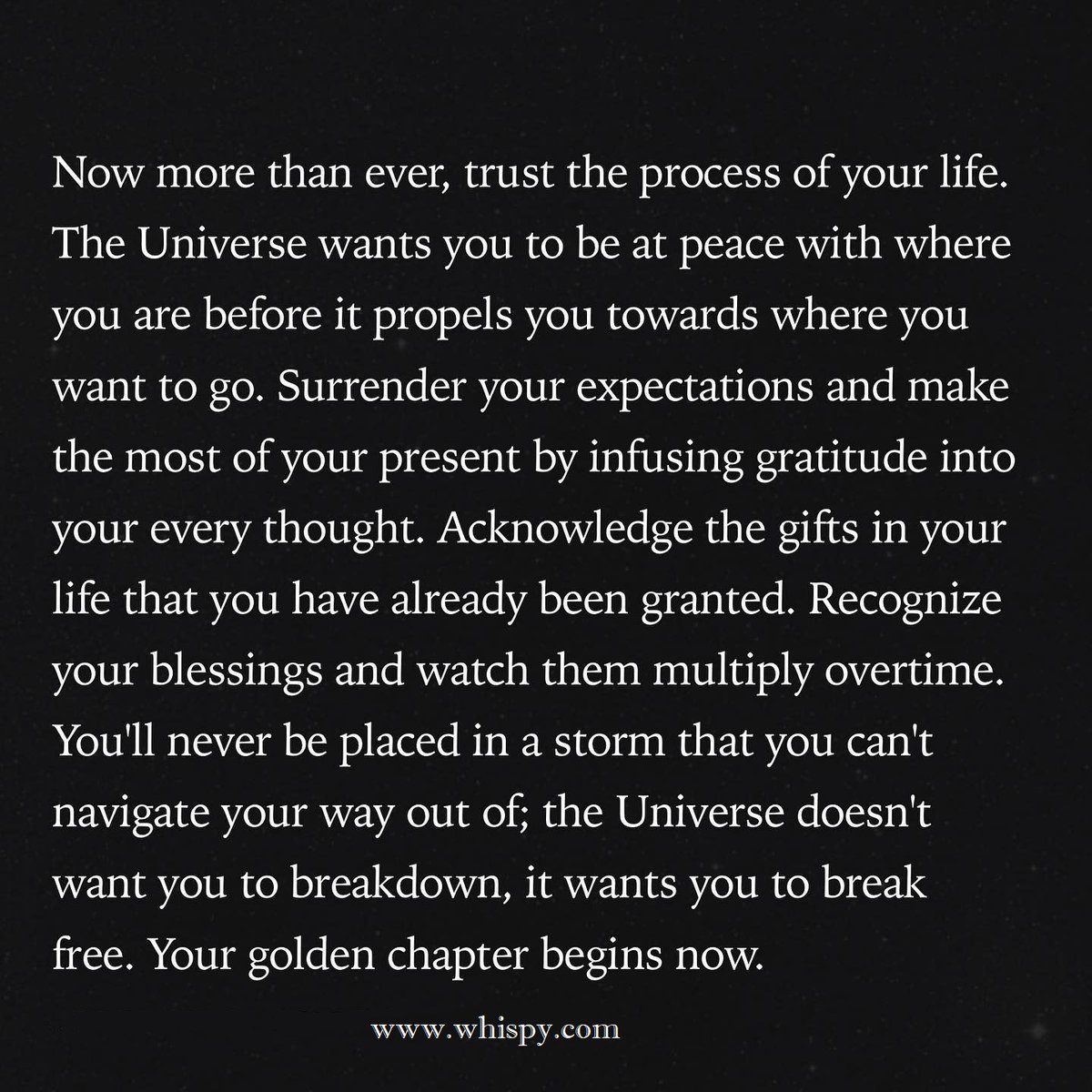 Trust the process!
#trusttheprocess #mondaymotivation #mondaymorning #psychicreading #psychicreadings #whispypsychics #psychic