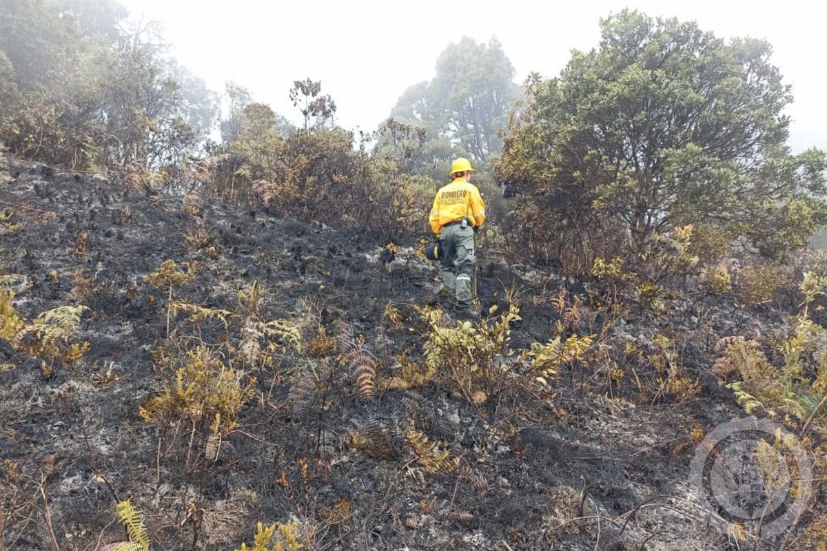 facetasdeboyaca's tweet image. 🚨 #ControlDeIncendio Desde el medio día de este domingo 10 de marzo, las unidades bomberiles y dos máquinas hicieron presencia y control de un fuerte incendio forestal que se presentó en montaña que limita con los municipios de Boyacá, Soracá y Tunja.