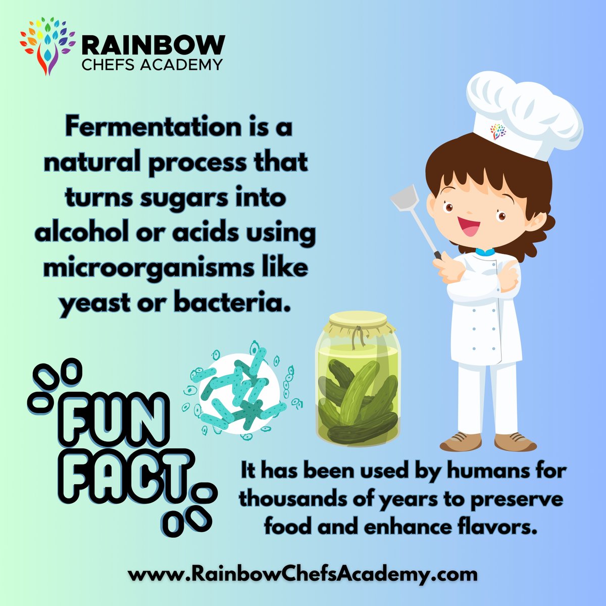 Fermented foods are great for gut health and boosting  immunity! 

Yogurt, kefir, kimchi, sauerkraut, kombucha, miso, and tempeh are all great examples of gut-friendly fermented foods!🦠💪

EDUCATE. EMPOWER. EAT. ⁣⁣⁣⁣⁣⁣⁣⁣⁣
⁣⁣
🌈 ❤️⁣⁣⁣ ⁣⁣⁣

#RainbowChefsAcademy