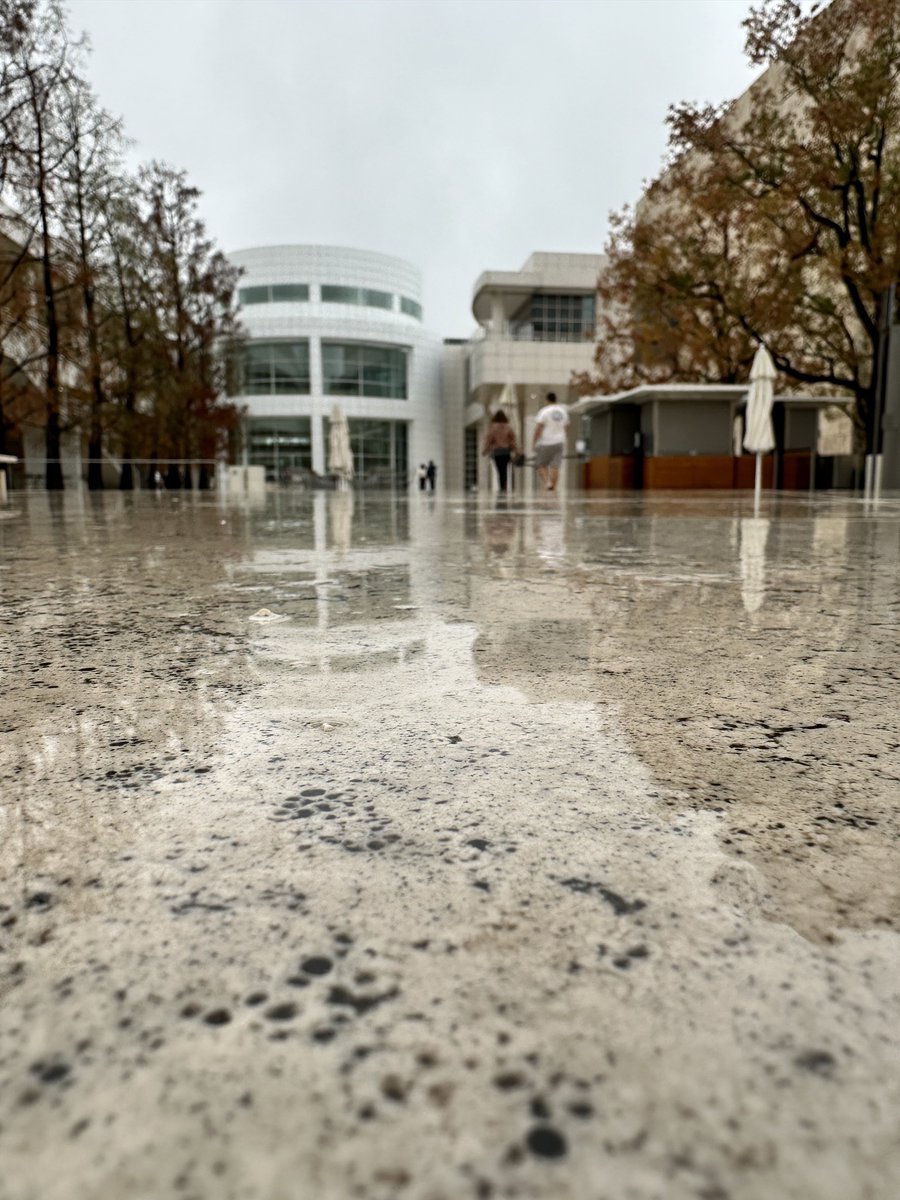 Nik Kalyani - Freedom for Iran tweet media