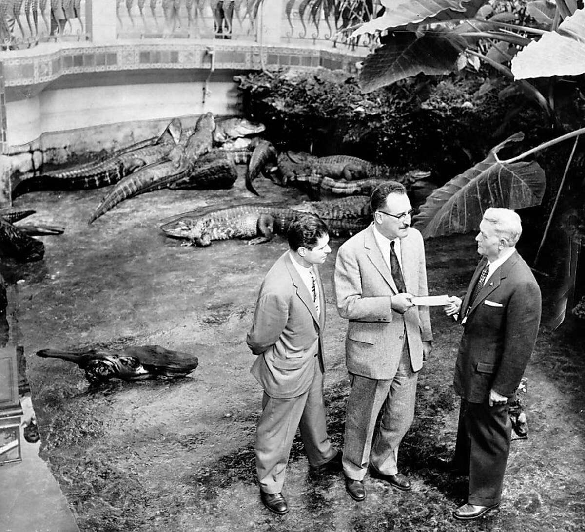 Peter Hartlaub (@peterhartlaub) on Twitter photo Had a fabulous time on Western Neighborhoods Project <a href="/outsidelandz/">Western Neighborhoods Project</a> podcast talking <a href="/calacademy/">California Academy of Sciences</a> history with <a href="/rkim1853/">Rebekah Kim</a> & <a href="/NostosNic/">Nicole Meldahl</a>!
A heartfelt tribute to the Steinhart Aquarium, Sharksicles, Fish Roundabouts and soooo many two-headed snake facts
🐠🐊🦈
outsidelands.org/podcast/WNP529… Had a fabulous time on Western Neighborhoods Project <a href="/outsidelandz/">Western Neighborhoods Project</a> podcast talking <a href="/calacademy/">California Academy of Sciences</a> history with <a href="/rkim1853/">Rebekah Kim</a> & <a href="/NostosNic/">Nicole Meldahl</a>!
A heartfelt tribute to the Steinhart Aquarium, Sharksicles, Fish Roundabouts and soooo many two-headed snake facts
🐠🐊🦈
outsidelands.org/podcast/WNP529…