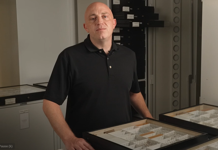 afpmb's tweet photo. Discover the art of preserving #sandflies for research with the @smithsonian's latest video 🎥. Vital for studying vector threats, these protocols are key to protecting military personnel from diseases worldwide. 🌍 #Entomology @ento_wrbu 

https://t.co/clos5WJIYX https://t.co/ADVdds08r5
