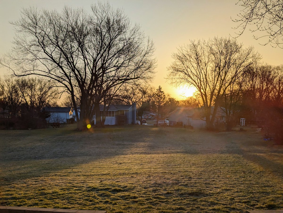 Evariste_ 💙🎨 (@evariste_ink) on Twitter photo 