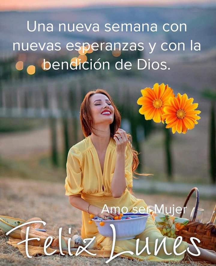 Excelente inicio de semana!!! ☺️🌈🌹