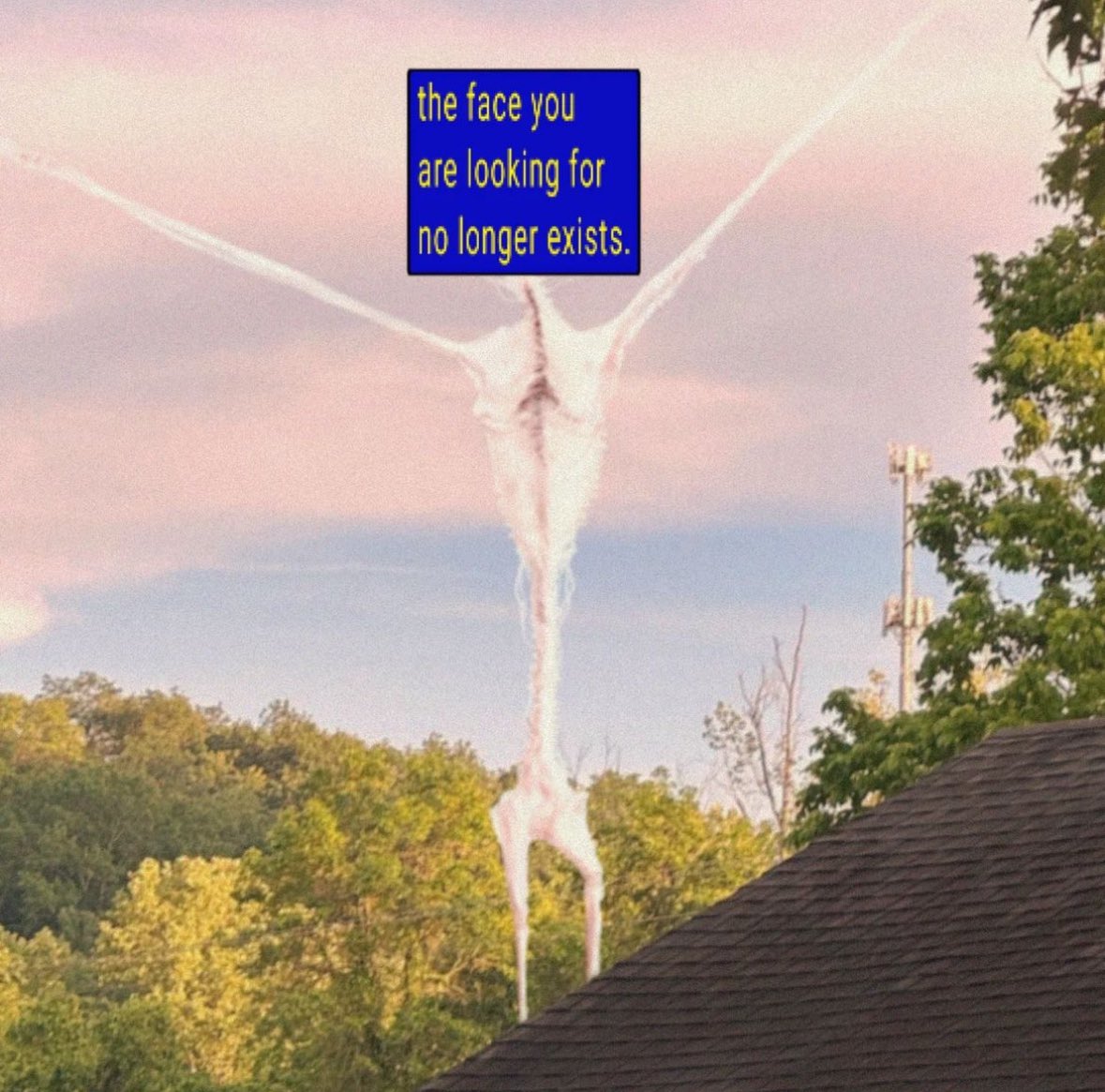 forgotten but not gone