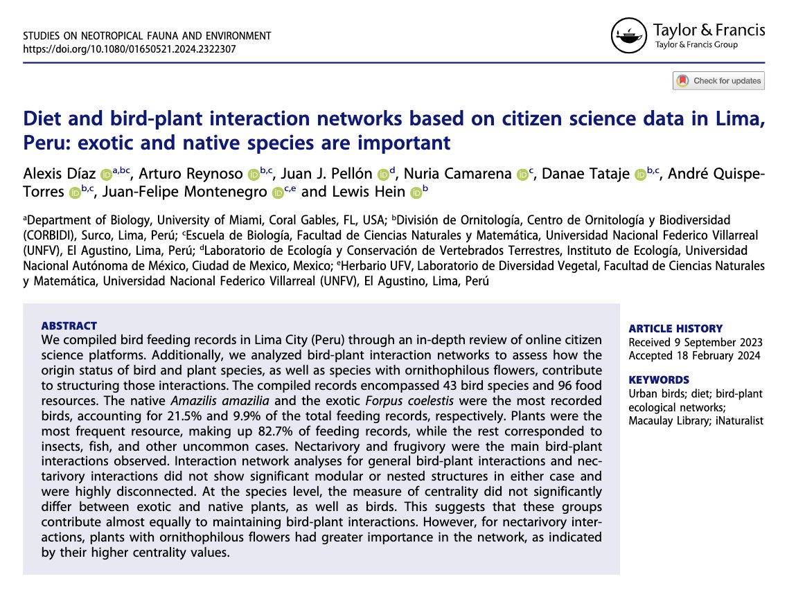 Our new study on the diet of birds and bird-plant interactions in Lima city, the largest metropolitan area of Peru, which uses citizen science data, has just been published in the journal Studies on Neotropical Fauna and Environment. tandfonline.com/eprint/2V6DFYS…