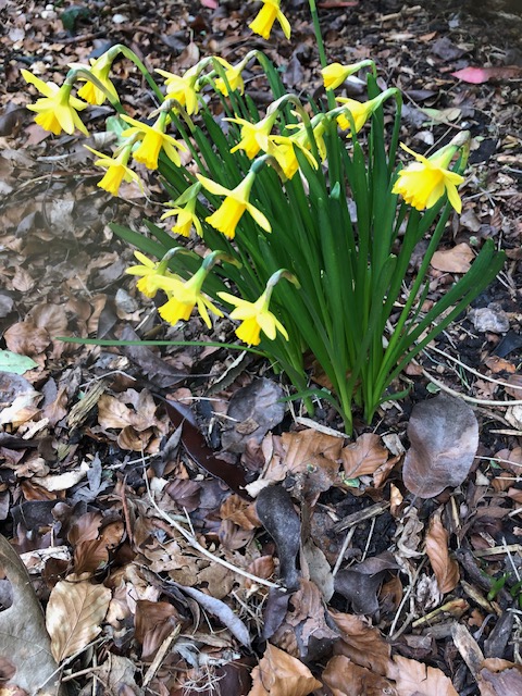 Kendra Smith tweet media