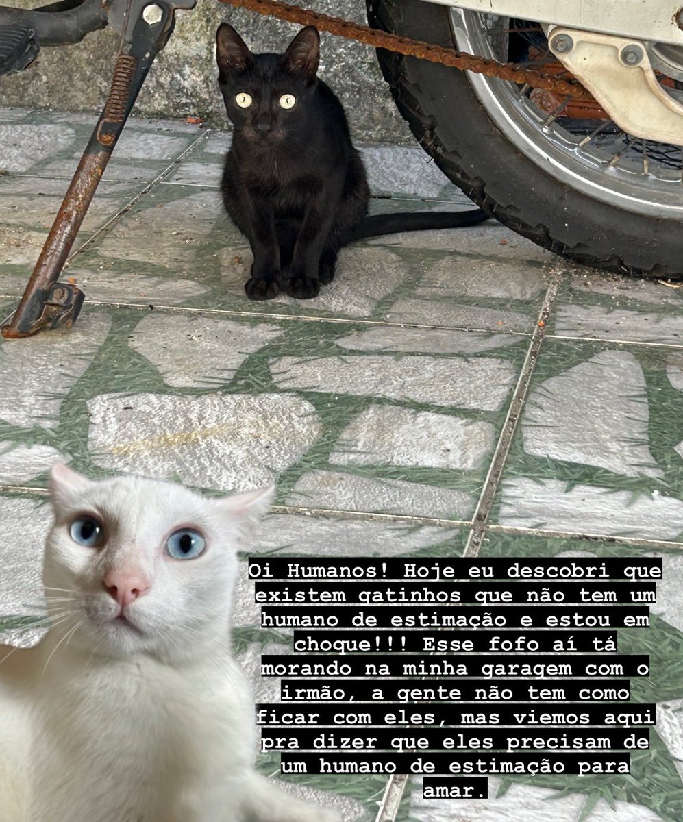 Bruna_peterr's tweet photo. Aqui também https://t.co/FYYBmLE3de