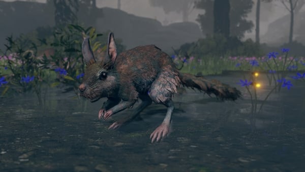 I haven't seen this animal before.

I think I should throw a rock at it.